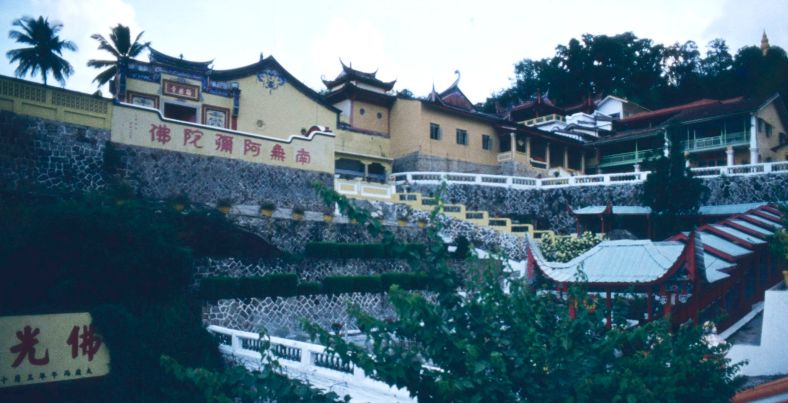 Tempel med skildpadde opdræt